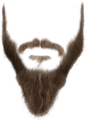 Download Long Beard Png - Beard Booth Png PNG Image with No Background - PNGkey.com