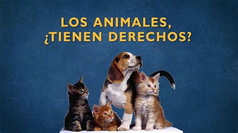 1er Congreso Sobre Derechos De Los Animales Ocioltura Revista
