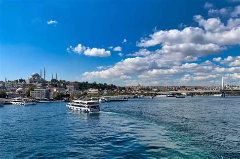 Vanished Marine Life Returns To Turkeys Preserved Marmara Sea Daily