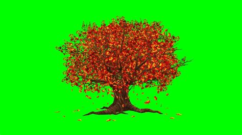 Copyright Free Animated 3d Tree Green Screen Effect Chroma Key