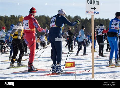 Cross Country Skiing Competition Vuokatti Sotkamo Finland Stock Photo