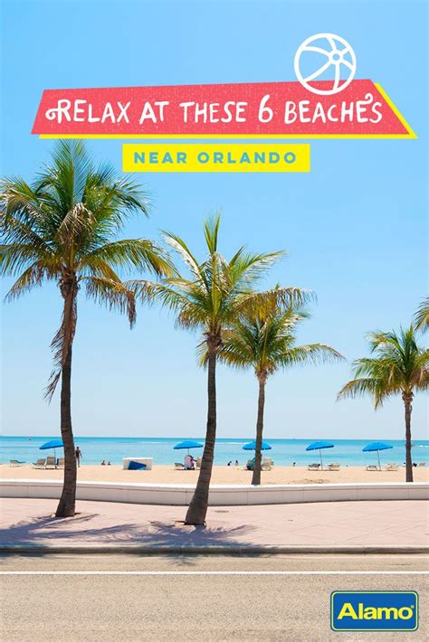 Palm Trees Line The Beach With An Advertisement For Relax At These 6