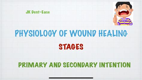 Physiology Of Wound Healing Primary And Secondary Intention