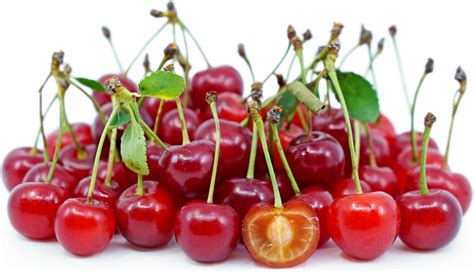 Sour Cherries Information Recipes And Facts