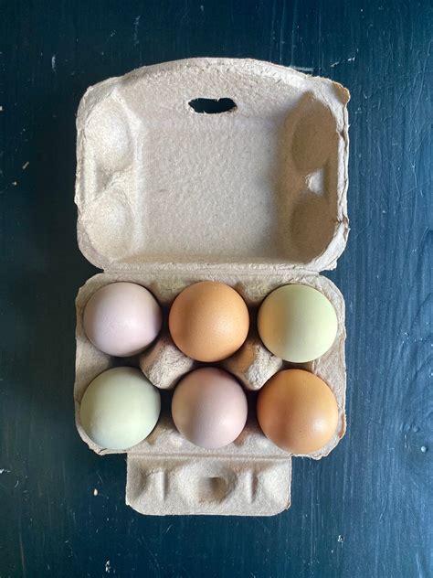 Egg Cartons Set Of 15 Holds 6 Eggs Half Dozen Etsy