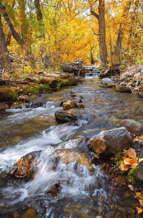 Rushing Aspen Creek Is A Photograph By Lynn Bauer A Gorgeous Fall View