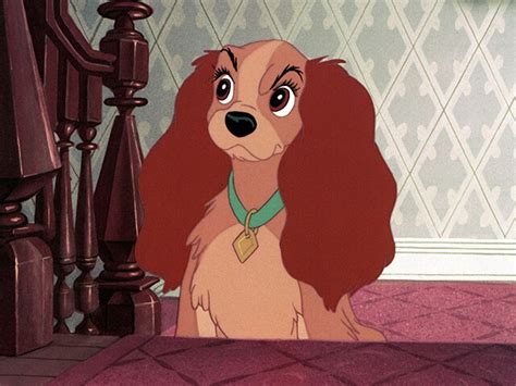 Lady And The Tramp Disney Movies
