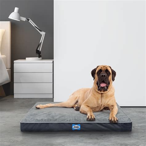 Sealy Orthopedic Pet Bed Gray Extra Large