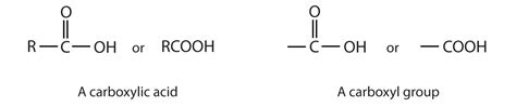 Functional Groups Of The Carboxylic Acids And Their Derivatives
