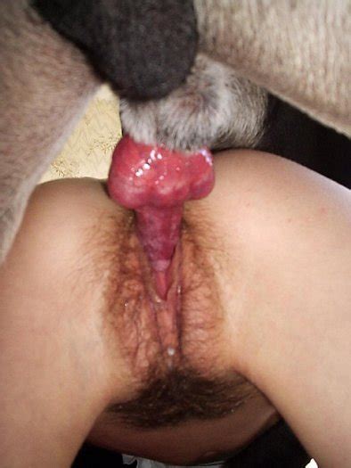 Man Licks Dog Pussy.