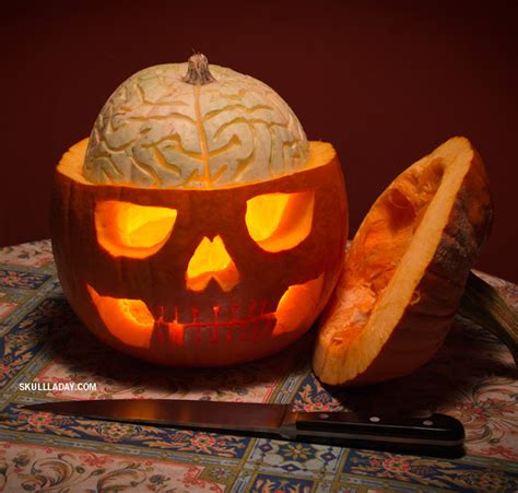 There is a $100 difference between the two. How to Reveal a Jack-O-Lantern's Secret Pumpkin Brain