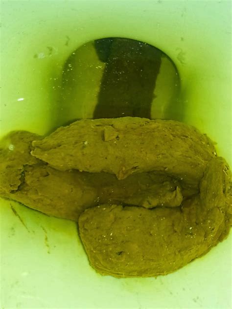 How do you have poop? My Daily Poo: January 2014