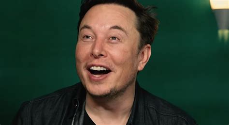 They don't call him a meme lord for nothing. Elon Musk "That Actually Happened?!" Memes - StayHipp