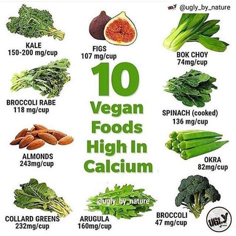 This may be good news, particularly for vegans and people who are lactose intolerant so cannot fully digest dairy products. 10 Vegan Foods High in Calcium in 2020 | Foods with ...