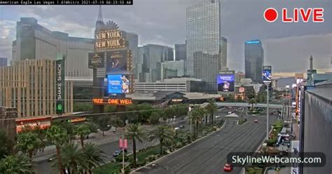 Maus Oder Ratte Helm Anschein Live Bilder Las Vegas Duft Akkumulieren Reisetasche