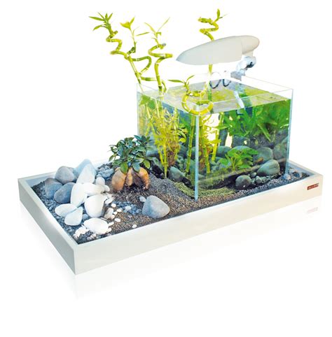 The animals are very well kept, have ample room and are loved by their care takers and patrons alike. Wave A2001985 Zen Artist 75 Combi Aquarium, 35 x 28 x 30 ...