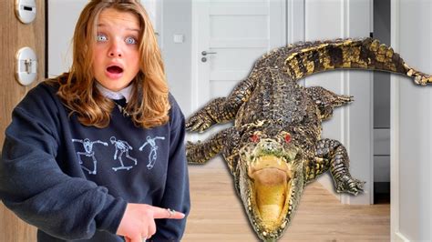 Alligator In Our House Aubrey And Caleb Try To Trap The Alligators Youtube