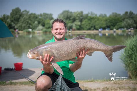 Áder jános találatok a horgász.hu adatbázisából. Székesfehérvár Városportál - Fehérváron tartották a Magyar ...