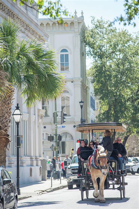 Historic Charleston South Carolina Downtown Scenery Photograph By Alex
