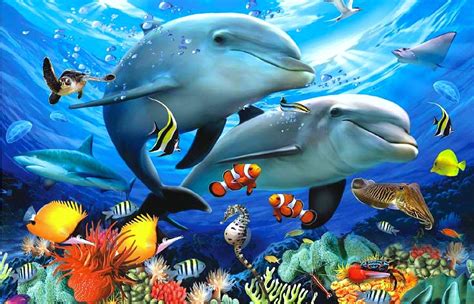Oceans Dreams Pre Underwater Animals Downloaded Attractions Dolphins