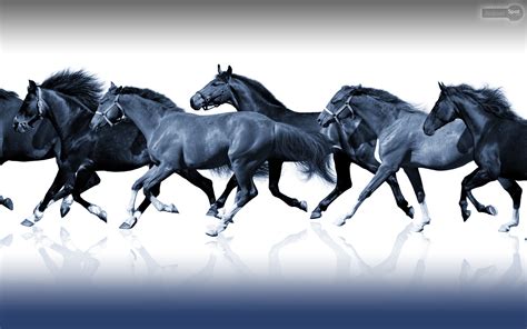 Horse Racing Wallpaper 52 Images