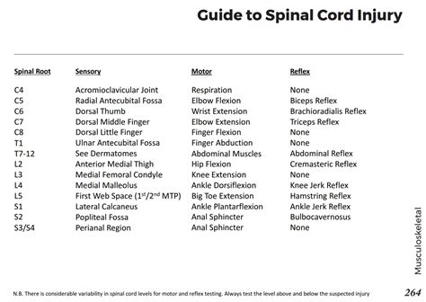 Spinal Cord Injury By Nerve Root Levels Spinal Root Sensory Motor