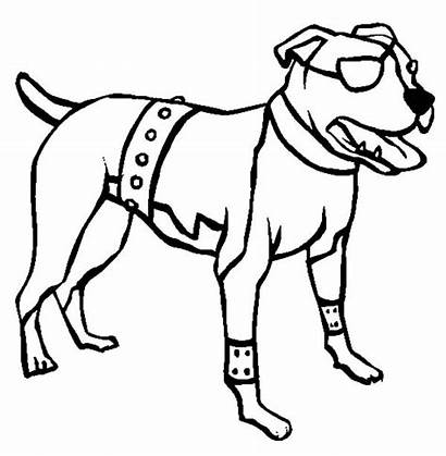 Pitbull Coloring Dog Boxer American Terrier Pages