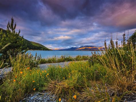 Wallpaper Lake Tekapo New Zealand Pebbles Clouds Mountains Grass