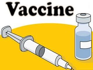 Find over 100+ of the best free covid 19 vaccine images. Free Vaccine Clipart