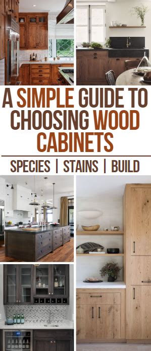 Other typical types of wood used for cabinets include cherry, alder, hickory, pecan, and many others. A Simple Guide to Choosing The Best Wood Cabinet Type | Birch cabinets, Stained kitchen cabinets ...