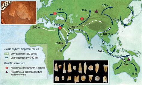 Early Humans Migrated From Africa 120000 Years Ago Daily Mail Online