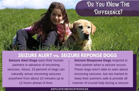 Tramadol online with mastercard what is epilepsy? Do you know the #difference between #seizure response dogs ...