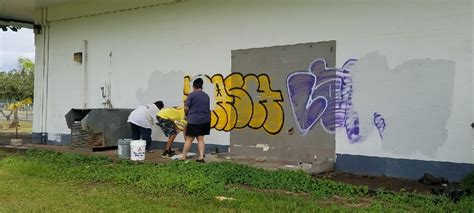 04 28 17 Community Graffiti Clean Up Project