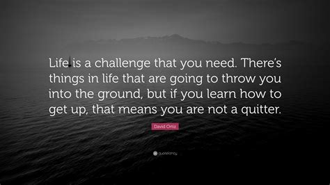 David Ortiz Quote Life Is A Challenge That You Need Theres Things