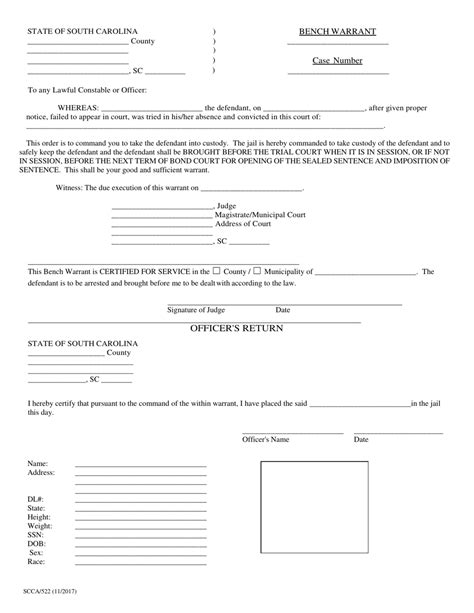 Form Scca522 Fill Out Sign Online And Download Printable Pdf South