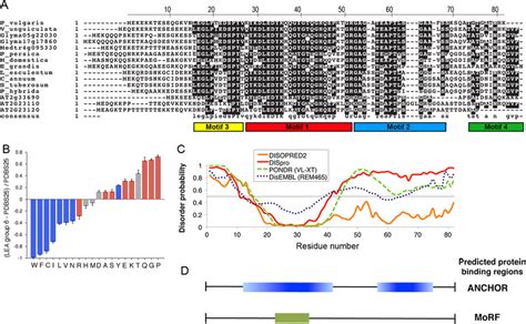 In silico has been used in white papers written to support the creation of bacterial genome programs by the commission of the european community. In silico analysis of the PvLEA6 protein sequence. A, alignment of... | Download Scientific Diagram