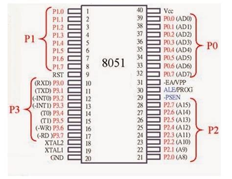 8051 Microcontroller Pinout Gpio Pins Architecture And Features Vrogue