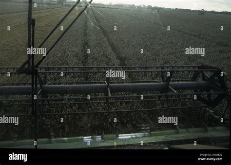 View From Inside Combine Harvester Uk Stock Photo Alamy