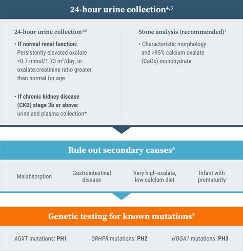 Primary Hyperoxaluria Urine Test Can Help Diagnose Ph