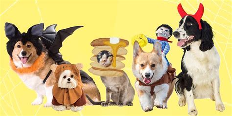 30 Best Dog And Cat Halloween Costumes 2018 Cute Pet Costume Ideas