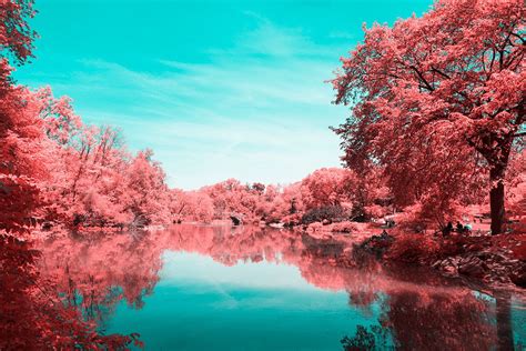 Infrared Photos Of Central Park Fotografía Infrarroja Paisajismo