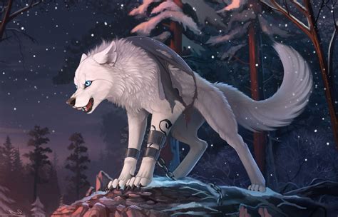 Cartoon Wolf Wallpapers Top Free Cartoon Wolf Backgrounds