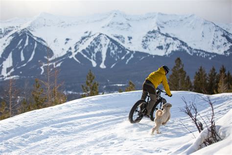 Fat Biking 101 How To Get Out Riding In Fernie This Winter