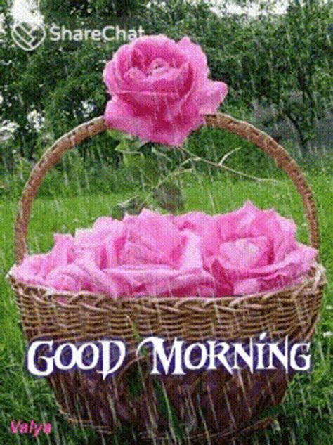 Flower Beautiful Good Morning Rainy Day Gif Good Morning Gif With My Xxx Hot Girl