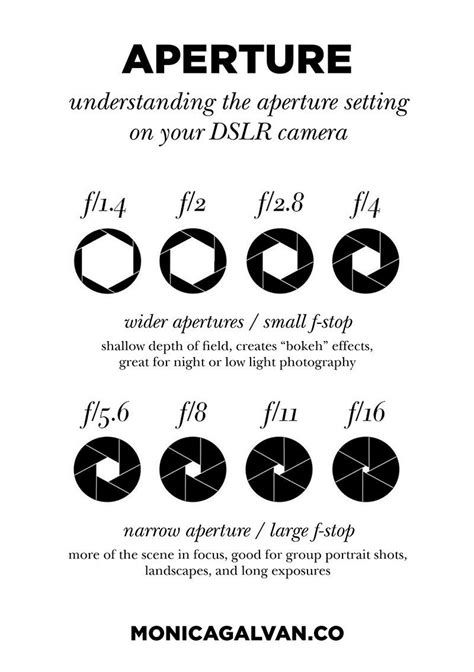 What Is Aperture A Beginners Guide To Understanding Aperture — M