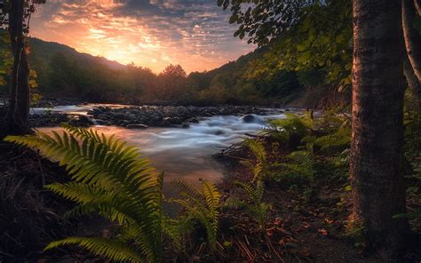 Sunset Mountain River Spring Forest River Stones Water Hd