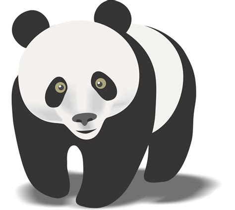 Cute Panda Bear Clipart Free Images 5 2 Panda Illustration Cute