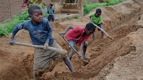 Child labor, employment of children of less than a legally specified age. Nigeria, ILO, NECA move against child labour | The ...