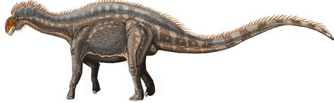 Dicraeosaurushansemanni22 2269×700 Prehistoric Animals