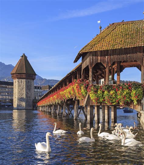 Chapel Bridge Lucerne Built In 1333 This Is A Wooden Bridge Which